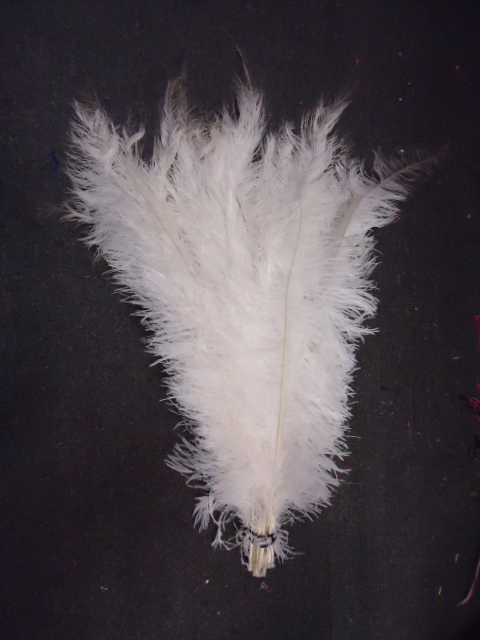 Ostrich Feather Plume WHITE